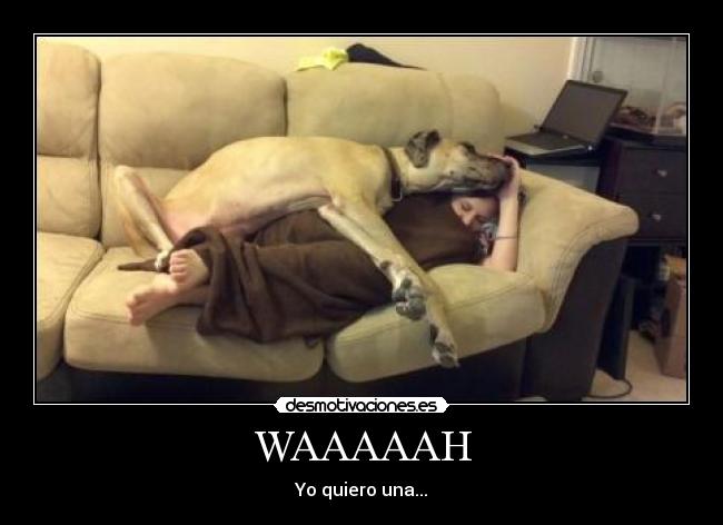 WAAAAAH - Yo quiero una...