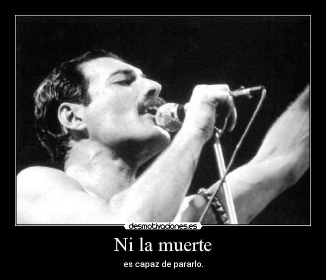 carteles muerte freddie mercury dont stop now desmotivaciones