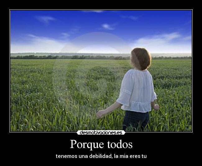Porque todos -
