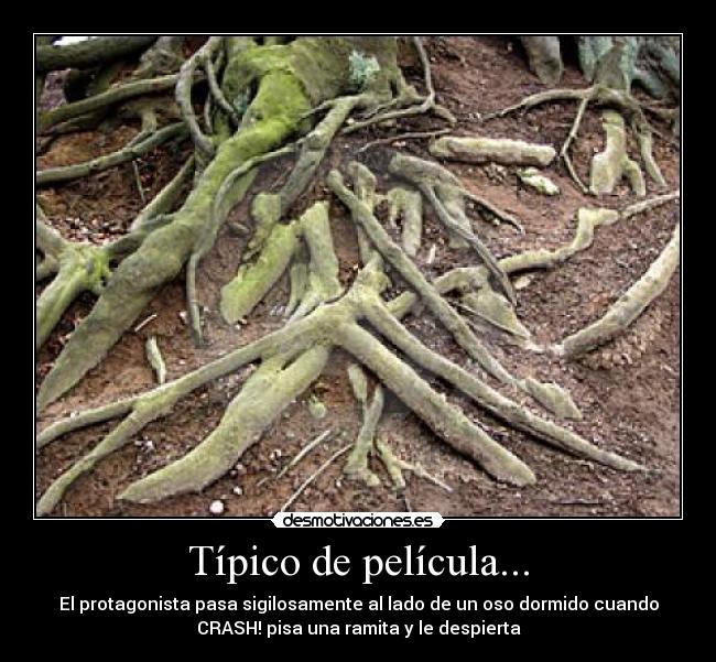 Típico de película... - El protagonista pasa sigilosamente al lado de un oso dormido cuando
CRASH! pisa una ramita y le despierta