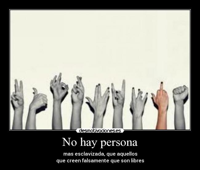 carteles lgfbs lngbpsr free desmotivaciones