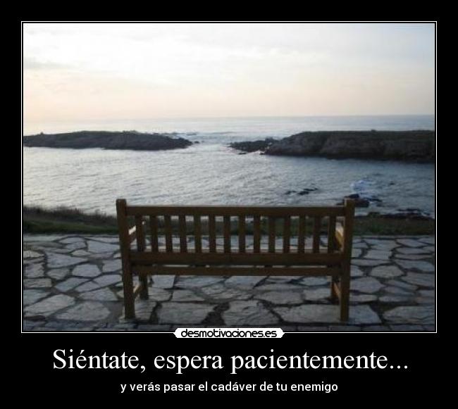 Siéntate, espera pacientemente... - 