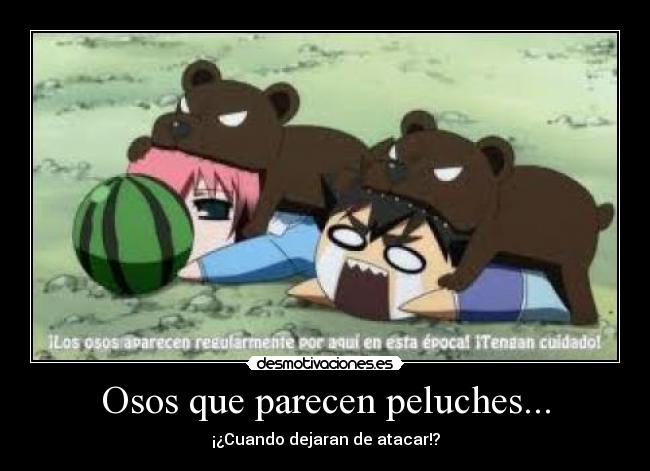 carteles osos que parecen peluches desmotivaciones