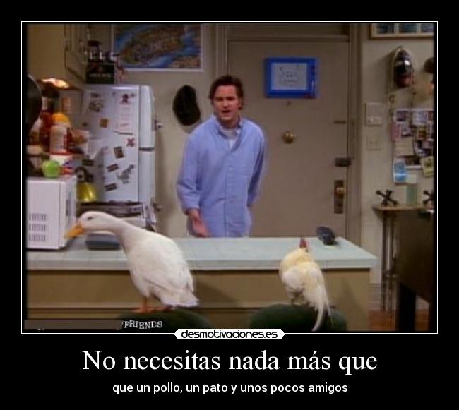 No necesitas nada más que - que un pollo, un pato y unos pocos amigos