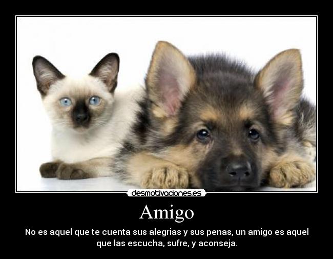 carteles amigo desmotivaciones