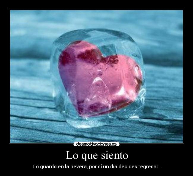 Lo que siento - Lo guardo en la nevera, por si un día decides regresar..