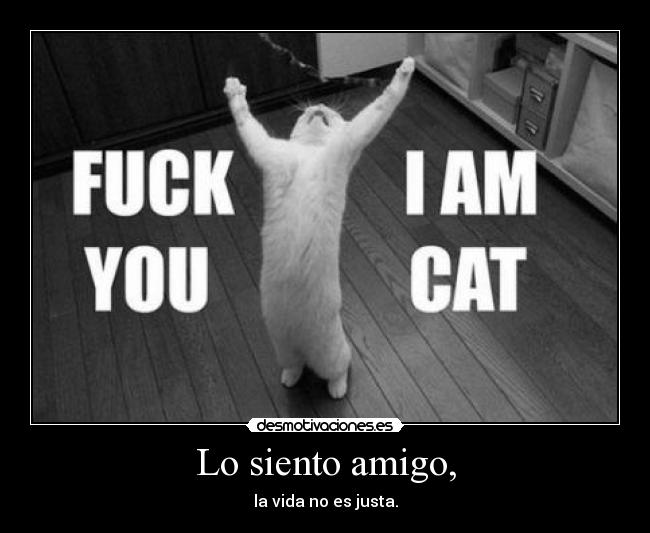 Lo siento amigo, -