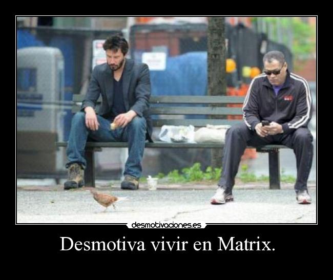 Desmotiva vivir en Matrix. - 