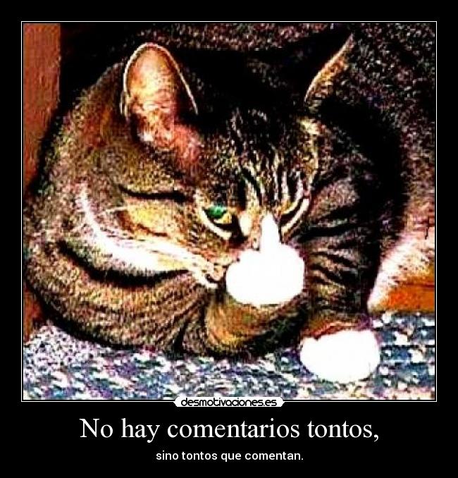 No hay comentarios tontos, - 