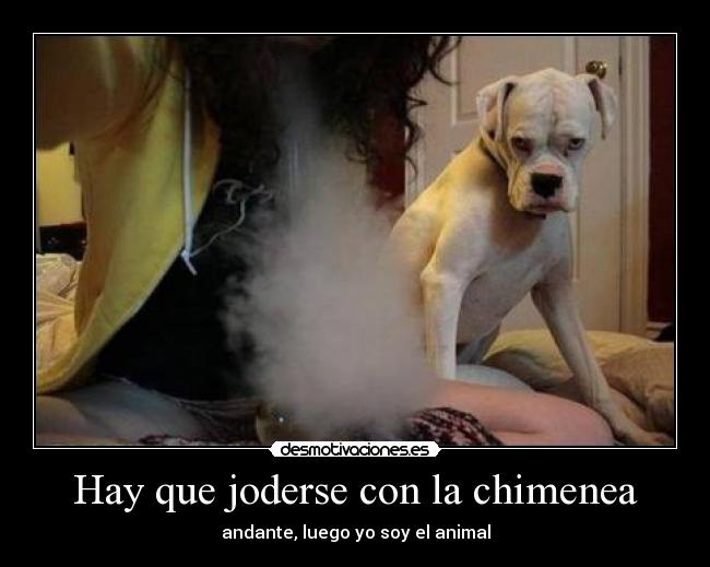 carteles animal chimenea desmotivaciones