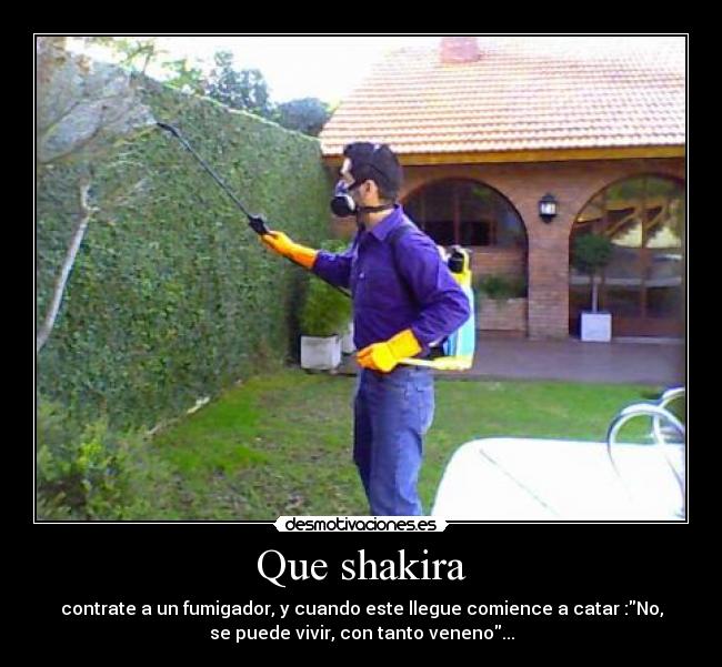 Que shakira - contrate a un fumigador, y cuando este llegue comience a catar :No,
se puede vivir, con tanto veneno...