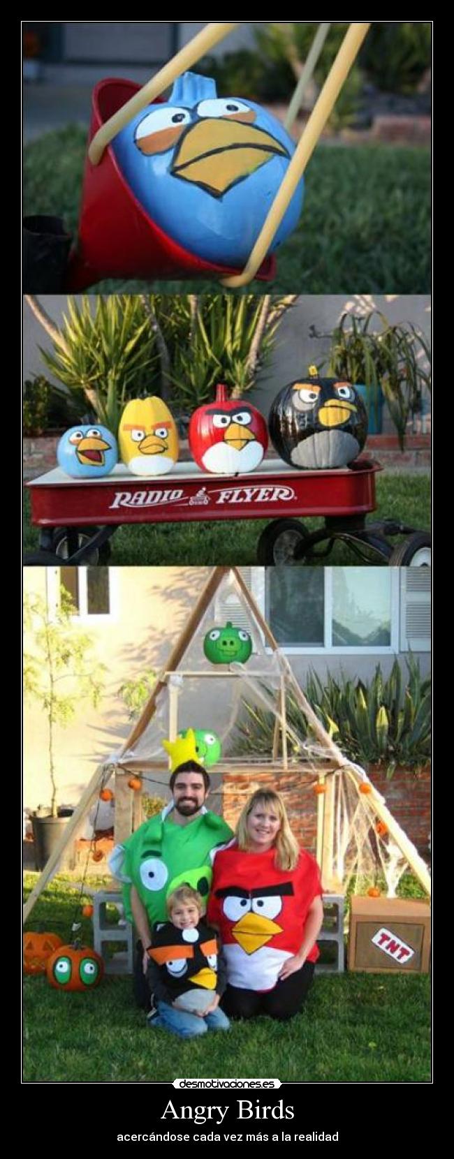 Angry Birds - 