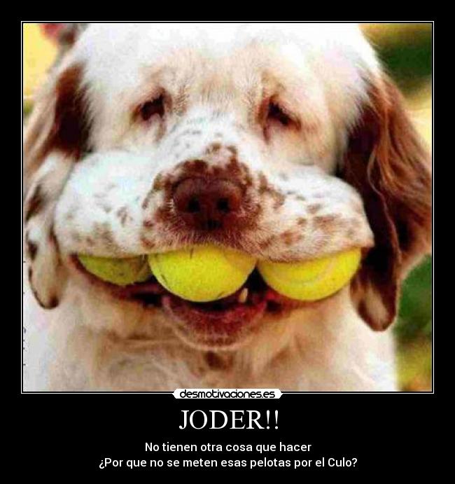 JODER!! - No tienen otra cosa que hacer
¿Por que no se meten esas pelotas por el Culo?