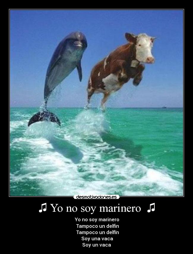 ♫ Yo no soy marinero  ♫ - ♪ Yo no soy marinero ♪
 ♫ Tampoco un delfin ♫
♪  Tampoco un delfín ♪
 ♫ Soy una vaca  ♫
♪ Soy un vaca  ♪
