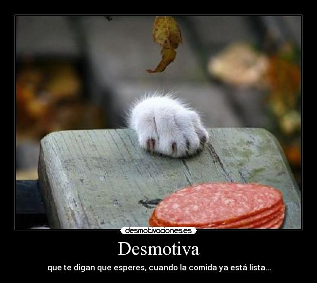 Desmotiva - que te digan que esperes, cuando la comida ya está lista...
