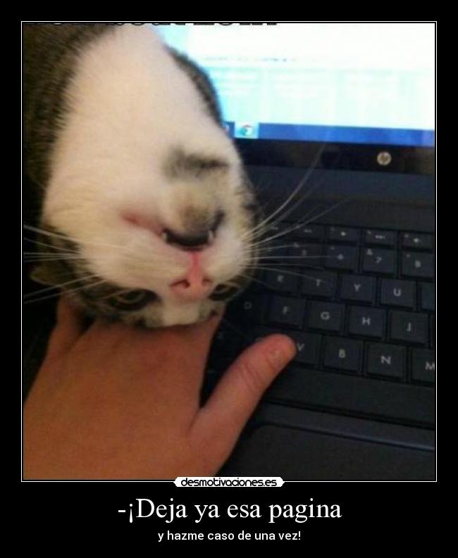 -¡Deja ya esa pagina - y hazme caso de una vez!