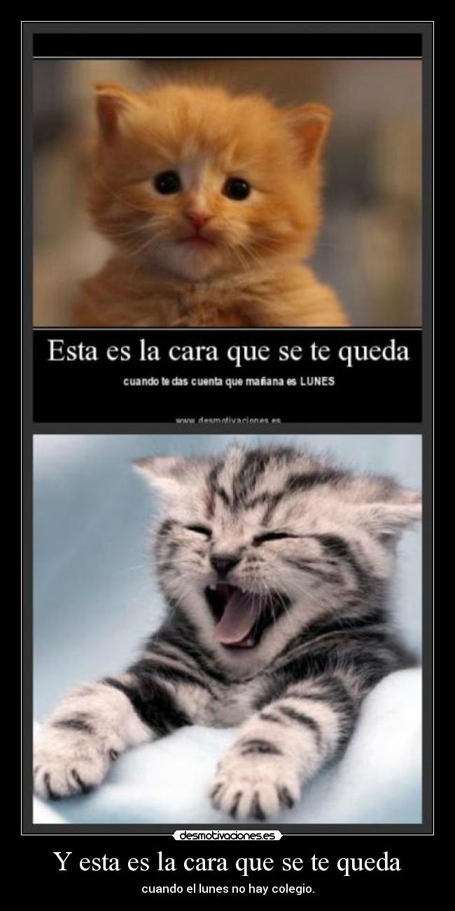 Y esta es la cara que se te queda - cuando el lunes no hay colegio.