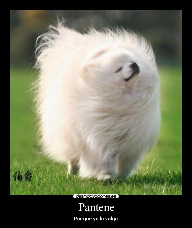 Pantene - Por que yo lo valgo.