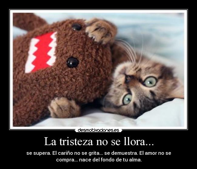 La tristeza no se llora... - se supera. El cariño no se grita... se demuestra. El amor no se
compra... nace del fondo de tu alma.