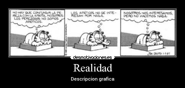 Realidad - Descripcion grafica