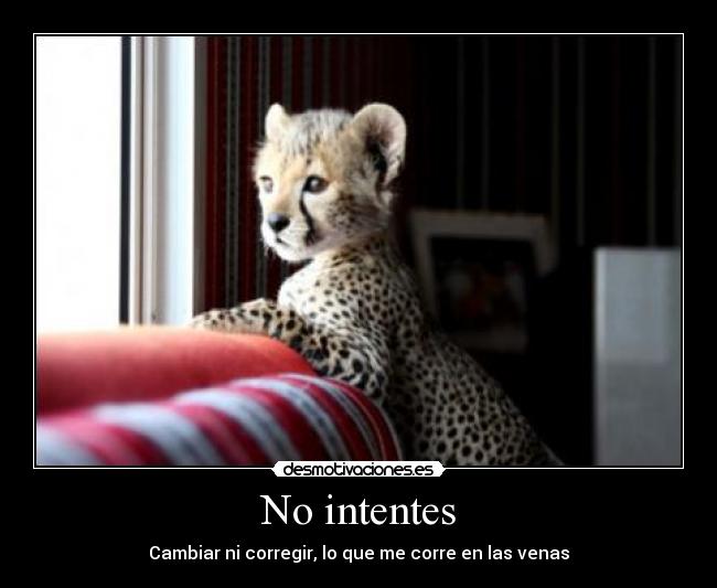 No intentes - Cambiar ni corregir, lo que me corre en las venas