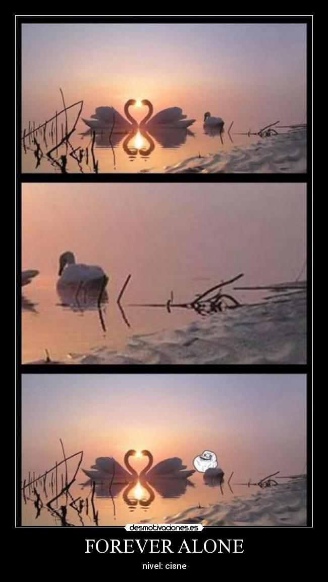 FOREVER ALONE -