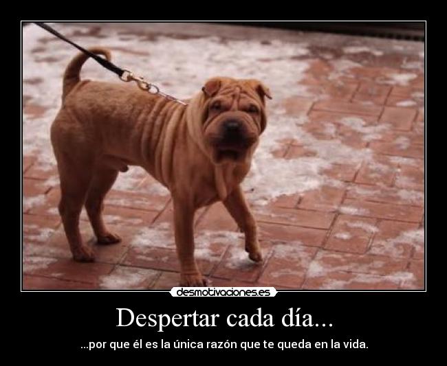 Despertar cada día... - ...por que él es la única razón que te queda en la vida.