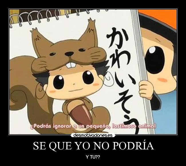 SE QUE YO NO PODRÍA - 