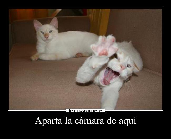 Aparta la cámara de aquí -