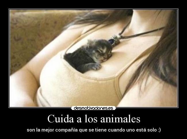 Cuida a los animales - son la mejor compañía que se tiene cuando uno está solo :)