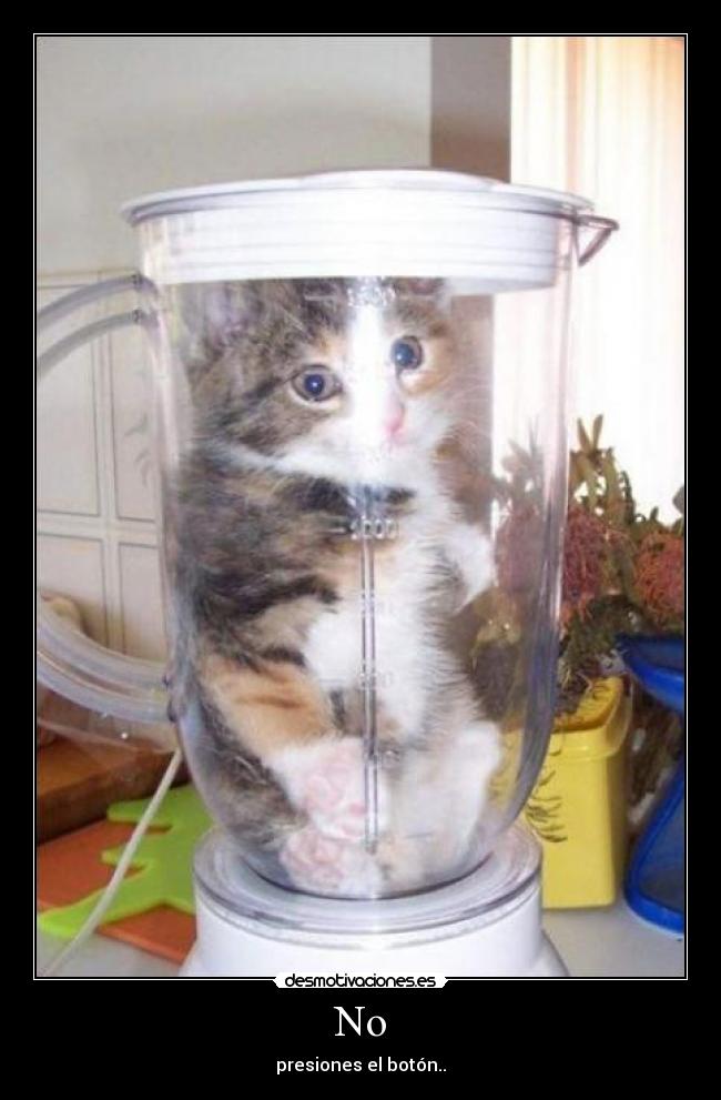 carteles licuadora gatosboton desmotivaciones