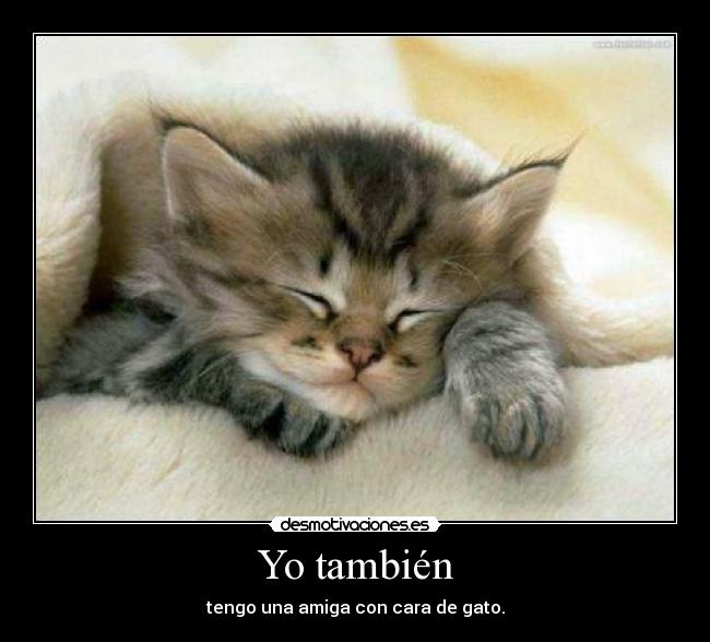 Yo también -