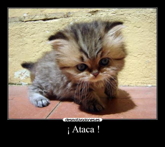 ¡ Ataca ! - 