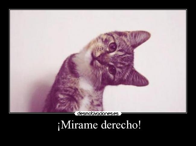 ¡Mirame derecho! - 