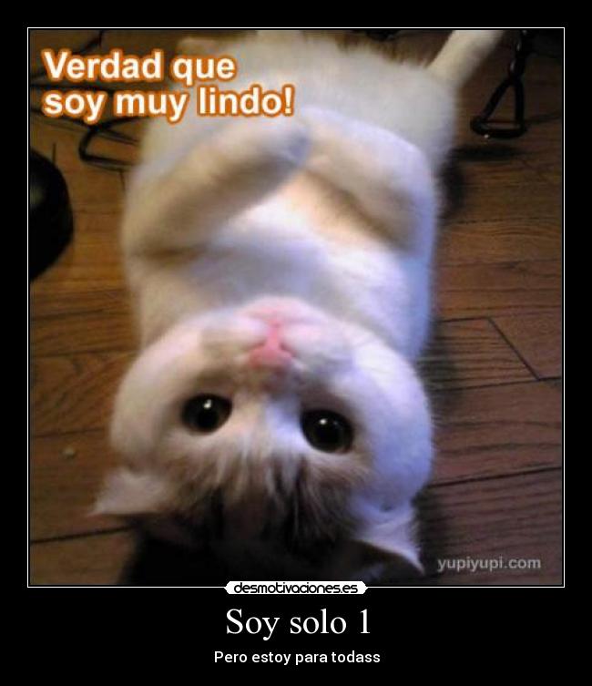 carteles miaaaaau desmotivaciones