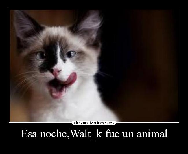 Esa noche,Walt_k fue un animal - 