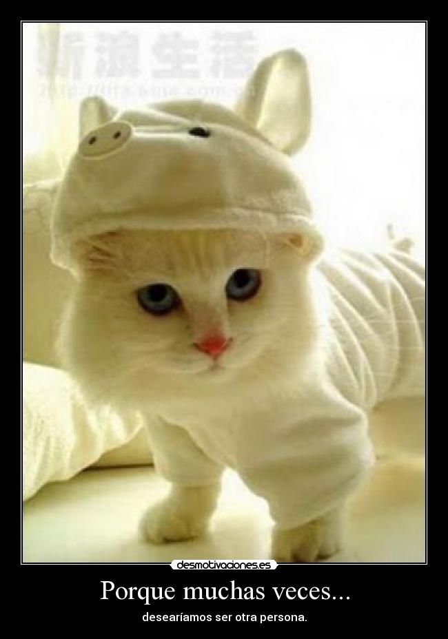 Porque muchas veces... - desearíamos ser otra persona.