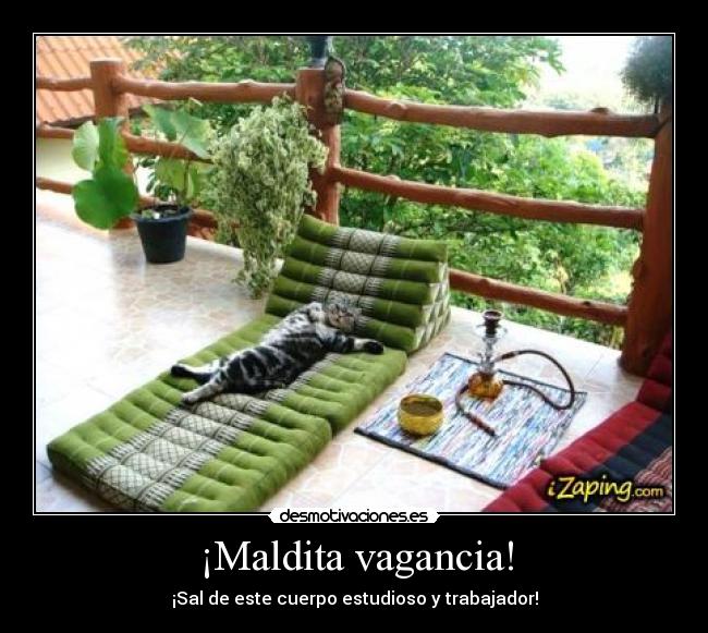 ¡Maldita vagancia! - 