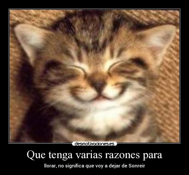 Que tenga varias razones para - 