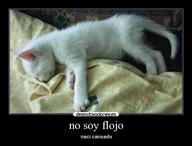 no soy flojo - 