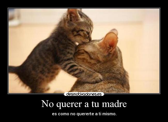 No querer a tu madre -