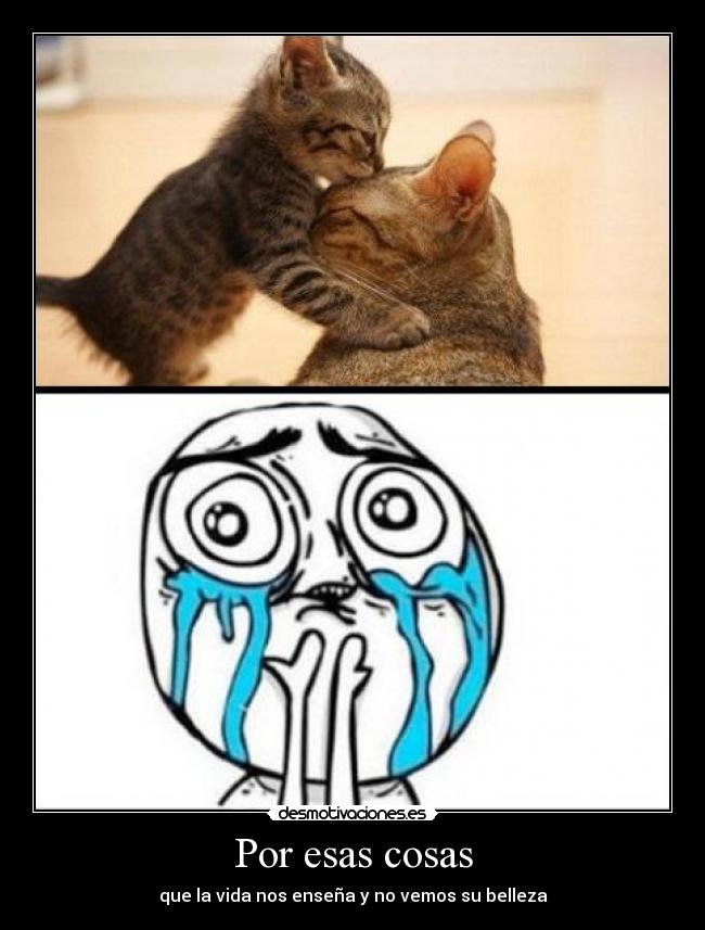 Por esas cosas - que la vida nos enseña y no vemos su belleza