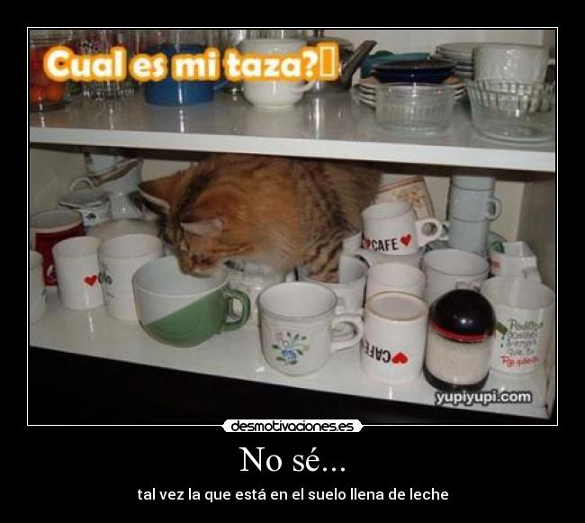 No sé... - tal vez la que está en el suelo llena de leche