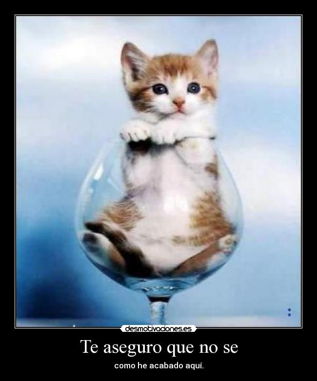 Te aseguro que no se -