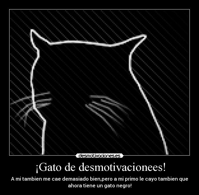 ¡Gato de desmotivacionees! -
