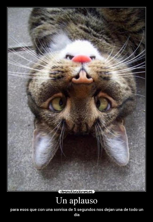Un aplauso - para esos que con una sonrisa de 5 segundos nos dejan una de todo un día