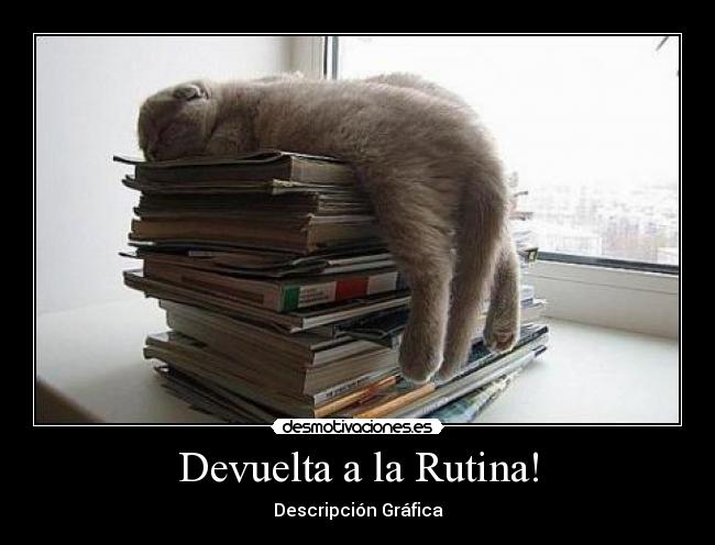 Devuelta a la Rutina! - Descripción Gráfica