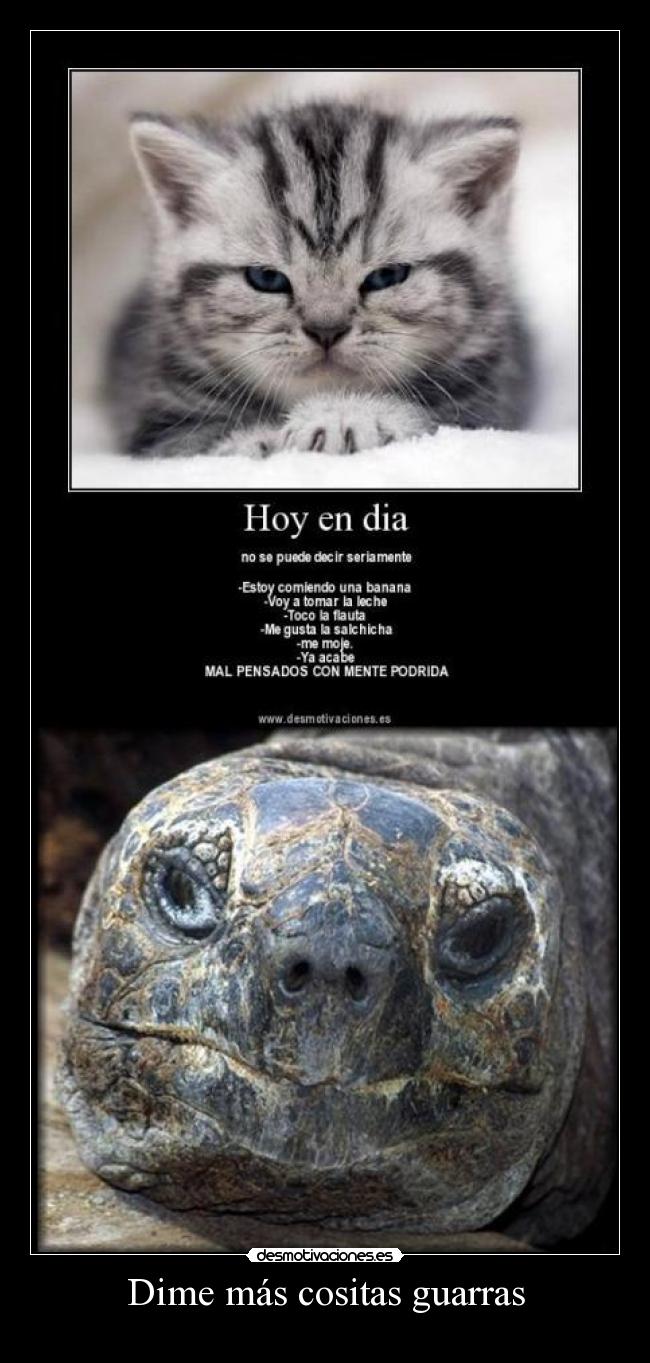 carteles tortolo clanng clantigretoneh desmotivaciones