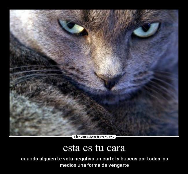 esta es tu cara - cuando alguien te vota negativo un cartel y buscas por todos los
medios una forma de vengarte