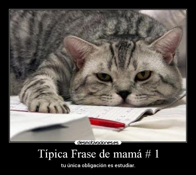 Típica Frase de mamá # 1 - tu única obligación es estudiar.